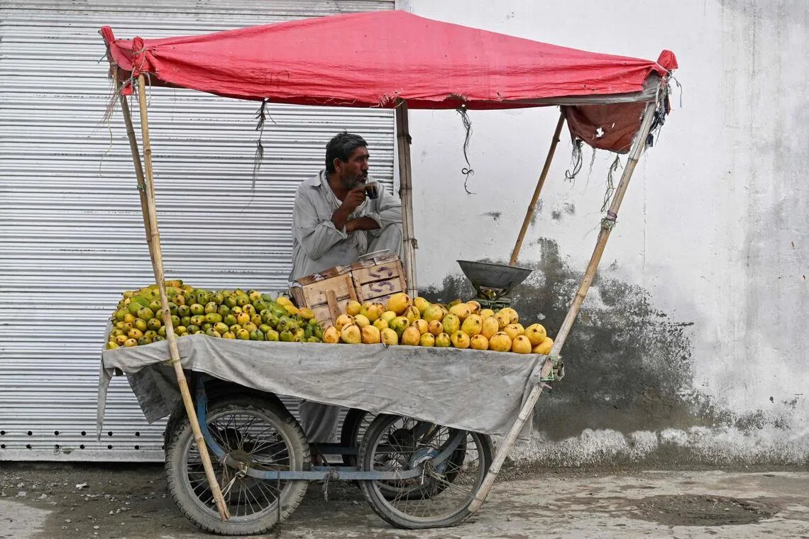 Pakistans Mango Exports Plummet Amid Lingering Middle East Conflict Fallout