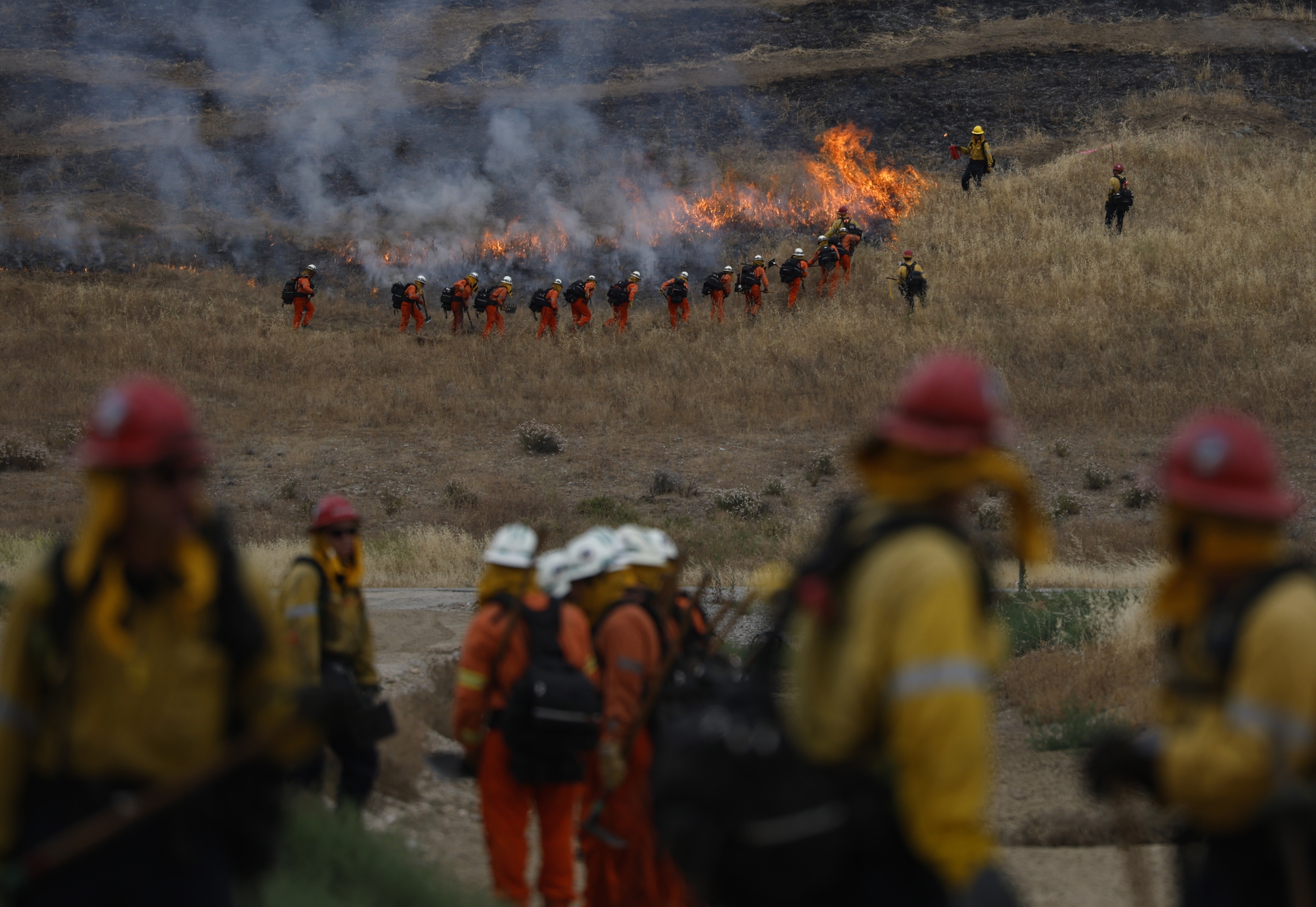 Wildfire Season Sets Record Pace with Over 2.4 Million Acres Burned So Far in 2026